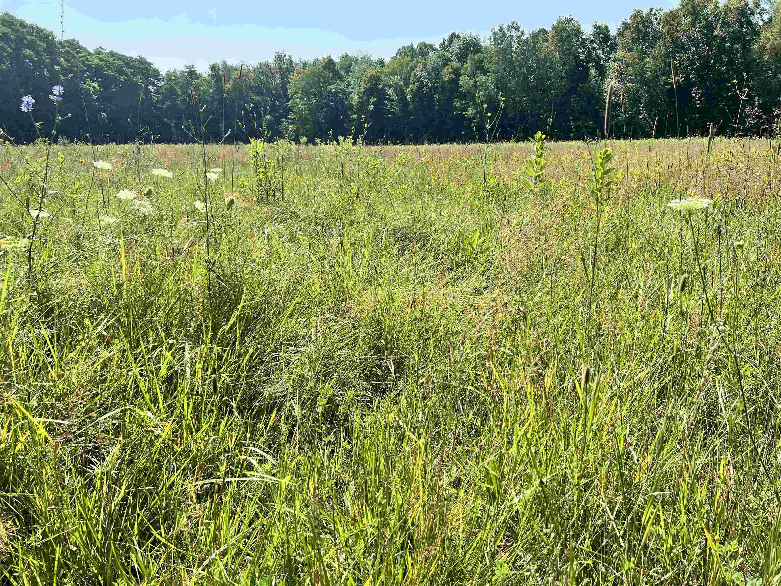 Parcel Webb Road Goodells, MI 48027 - Photo 2 of 5