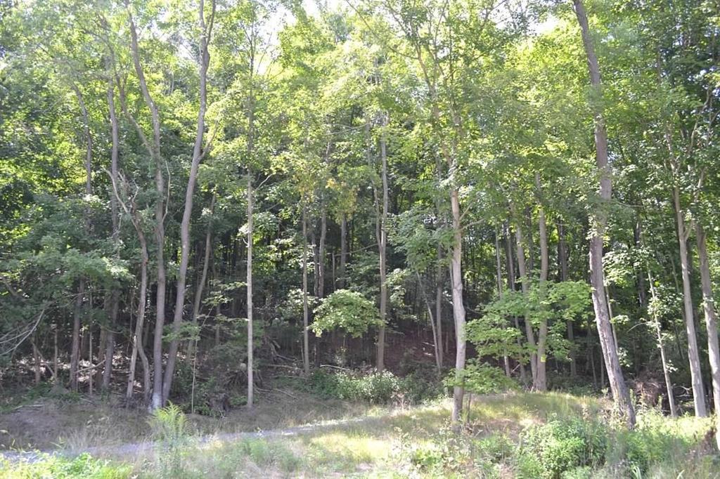 0 Hassam Road Coraopolis, PA 15108 - Photo 7 of 7 Gallery Image 7