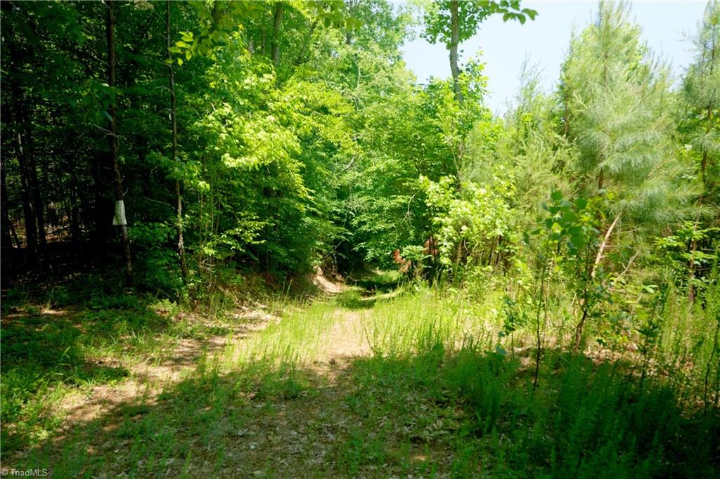 15 Roby Fulk Road Pinnacle, NC 27043 - Photo 7 of 19