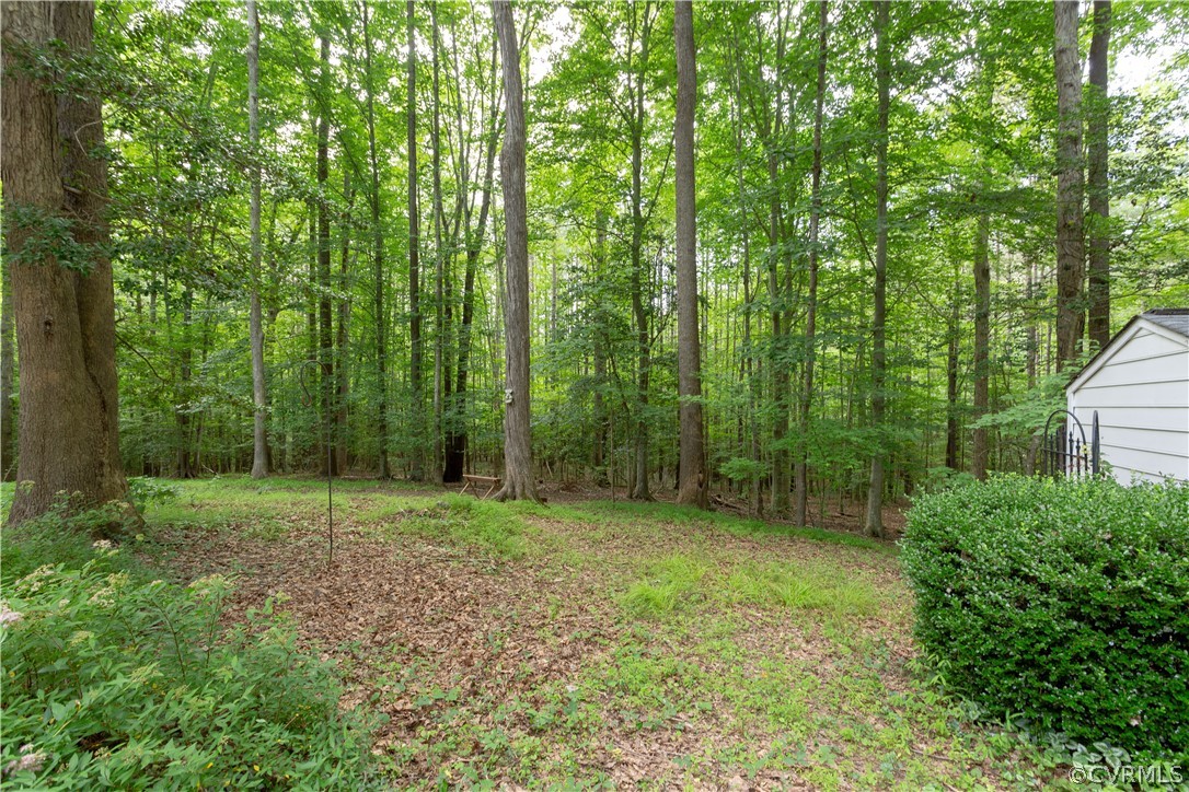 3690 Jefferson Landing Road Powhatan, VA 23139 - Photo 43 of 50 Gallery Image 43