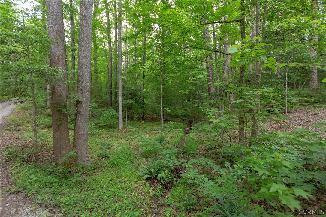 3690 Jefferson Landing Road Powhatan, VA 23139 - Photo 44 of 50 Gallery Image 44