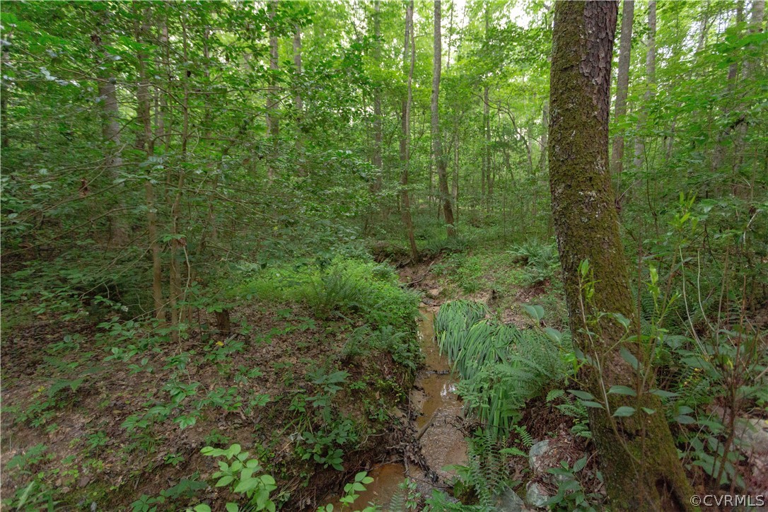 3690 Jefferson Landing Road Powhatan, VA 23139 - Photo 45 of 50 Gallery Image 45