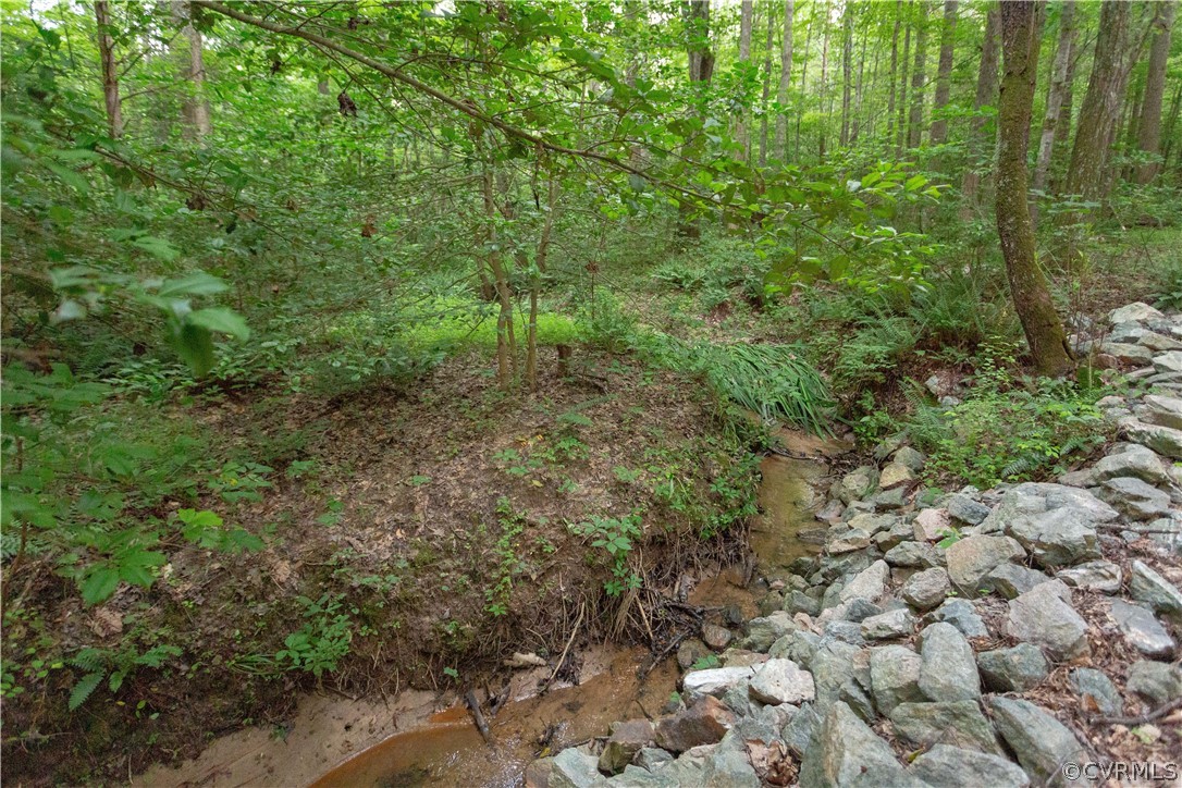 3690 Jefferson Landing Road Powhatan, VA 23139 - Photo 46 of 50 Gallery Image 46
