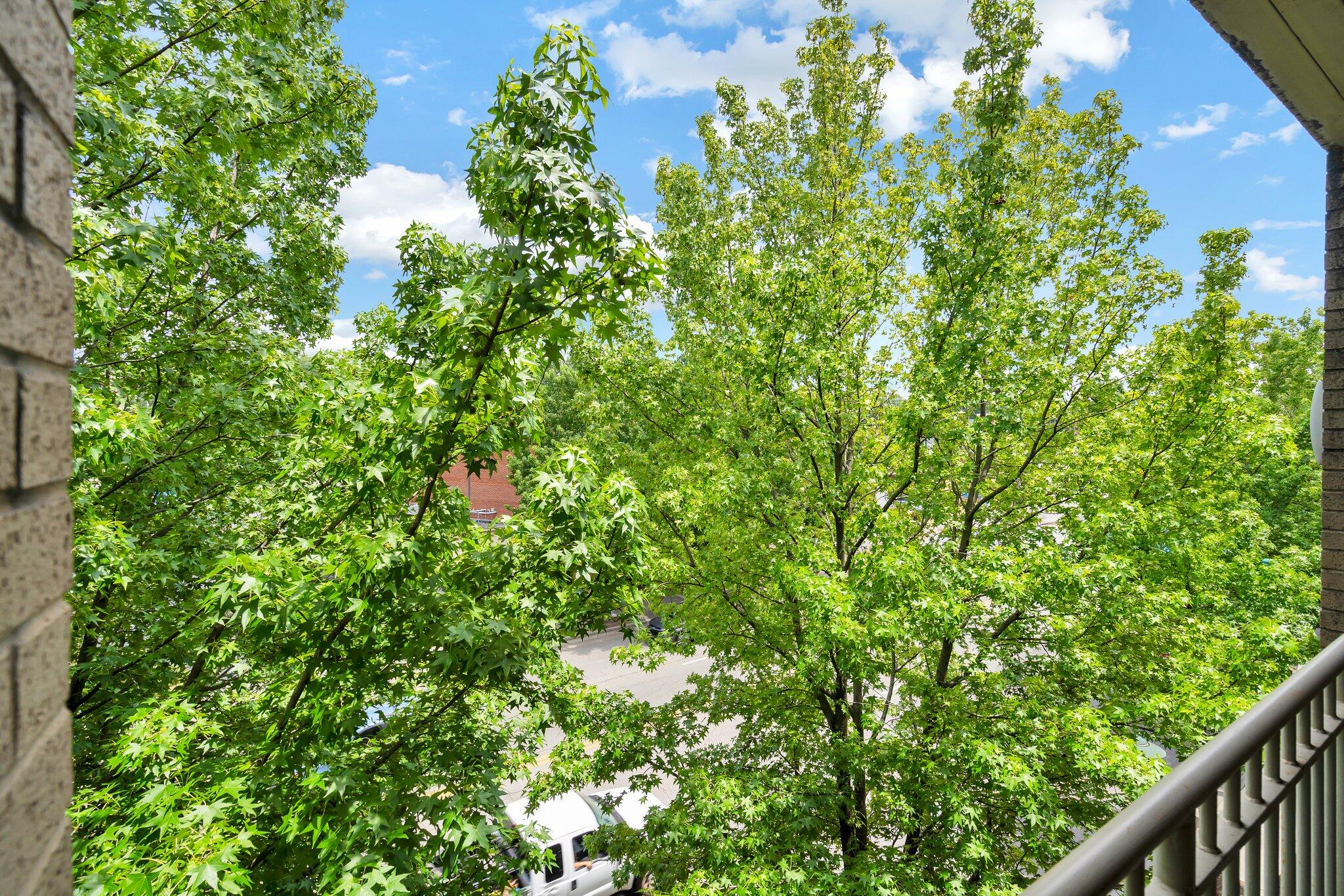 4 Cherokee Blvd., Unit 326 Chattanooga, TN 37405 - Photo 55 of 69 Bridgeview 048