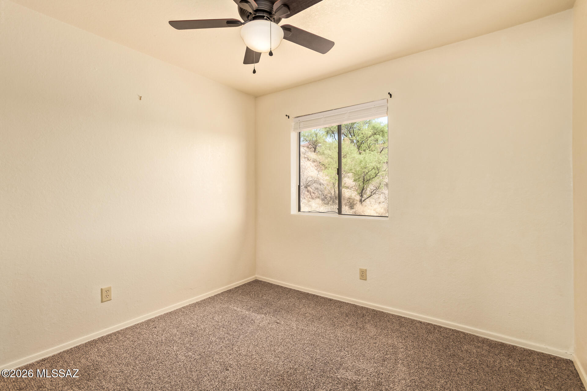 284 Olga Court Rio Rico, AZ 85648 - Photo 25 of 50 Gallery Image 25