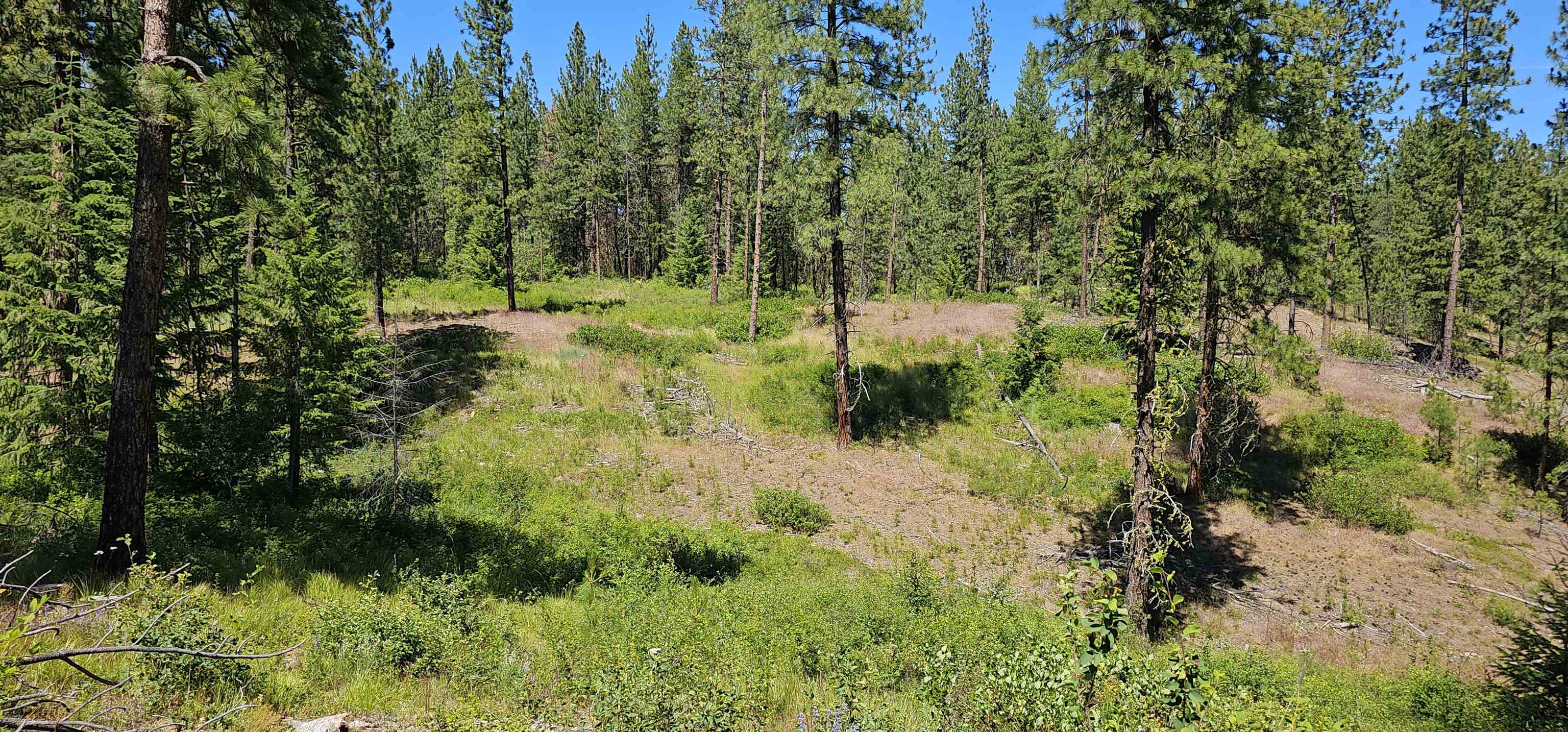 20 X Lynx Road Inchelium, WA 99138 - Photo 27 of 38 Gallery Image 27