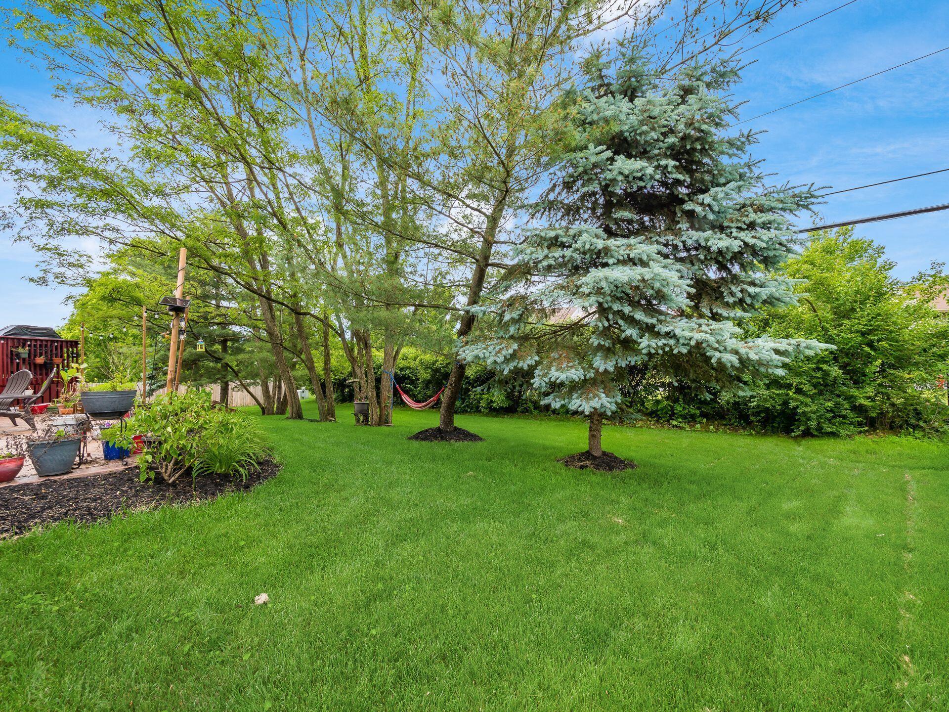 388 Beecher Road Columbus, OH 43230 - Photo 63 of 71 Back Yard