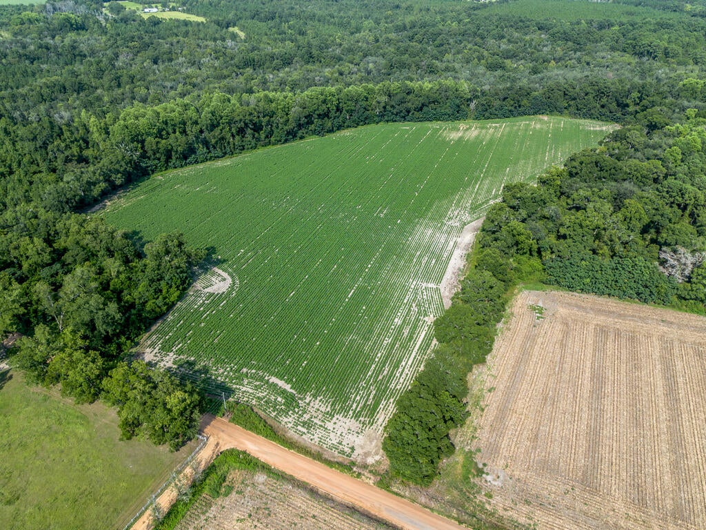 Tbd New Bethel Road Jesup, GA 31545 - Photo 9 of 26 Gallery Image 9