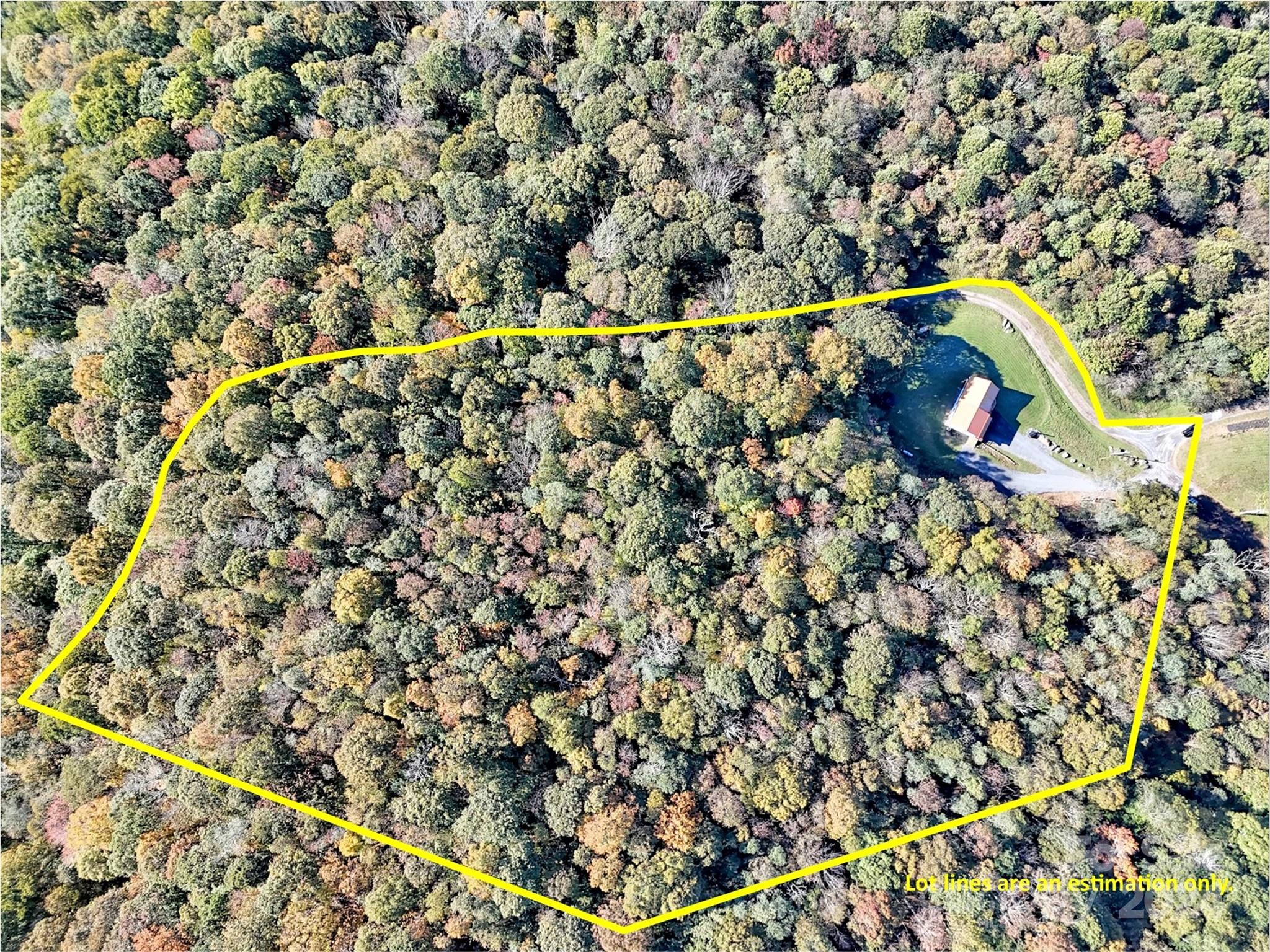 884 Mule Stomp Road Clyde, NC 28721 - Photo 46 of 47 Gallery Image 46
