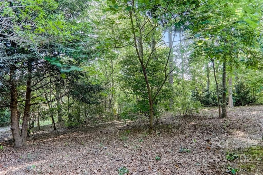 473 Emmas Grove Road Fletcher, NC 28732 - Photo 22 of 23 Gallery Image 22