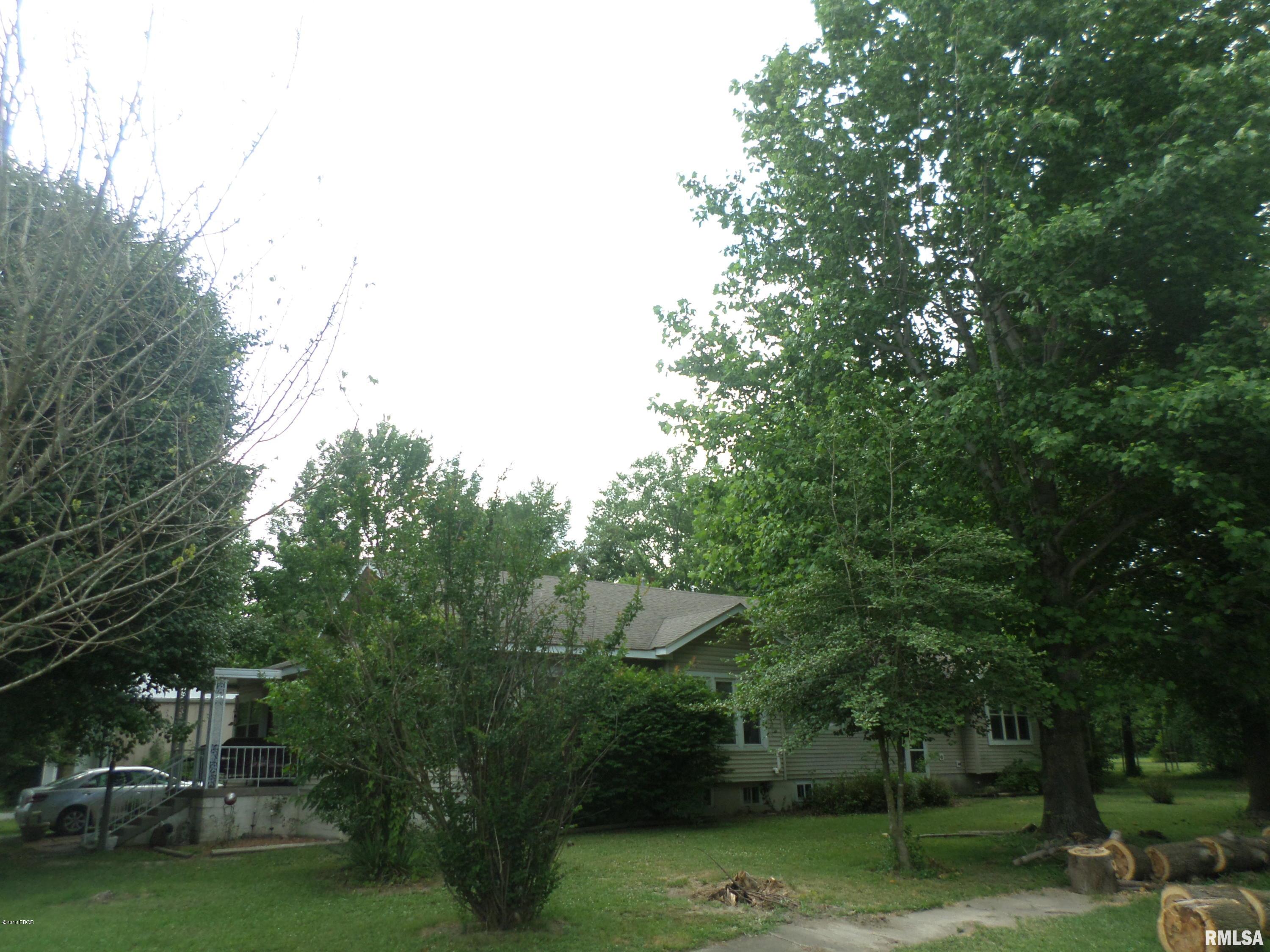 501 Patton Street Valier, IL 62891 - Photo 5 of 50 Gallery Image 5
