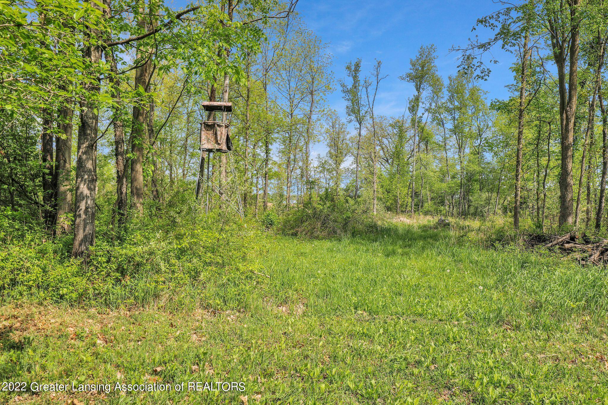 3020 Stillson Road Stockbridge, MI 49285 - Photo 6 of 51 4