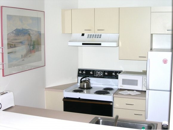 334 Packard's Road, Unit 334 Waterville Valley, NH 03215 - Photo 6 of 11