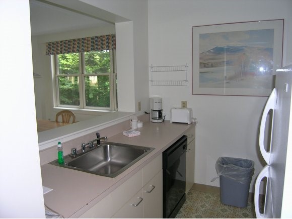 334 Packard's Road, Unit 334 Waterville Valley, NH 03215 - Photo 7 of 11