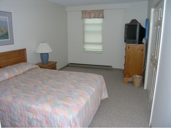 334 Packard's Road, Unit 334 Waterville Valley, NH 03215 - Photo 9 of 11
