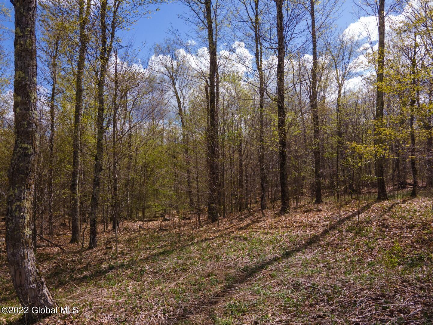 164 Baldwin Road West Summit, NY 12093 - Photo 2 of 11 164BaldwinRd-10
