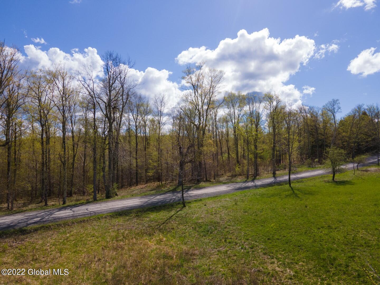 164 Baldwin Road West Summit, NY 12093 - Photo 3 of 11 164BaldwinRd-9