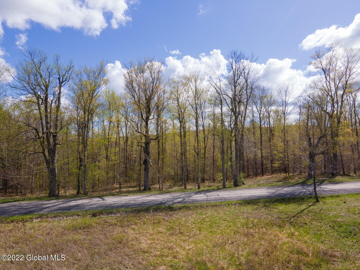 164 Baldwin Road West Summit, NY 12093 - Photo 4 of 11 164BaldwinRd-8