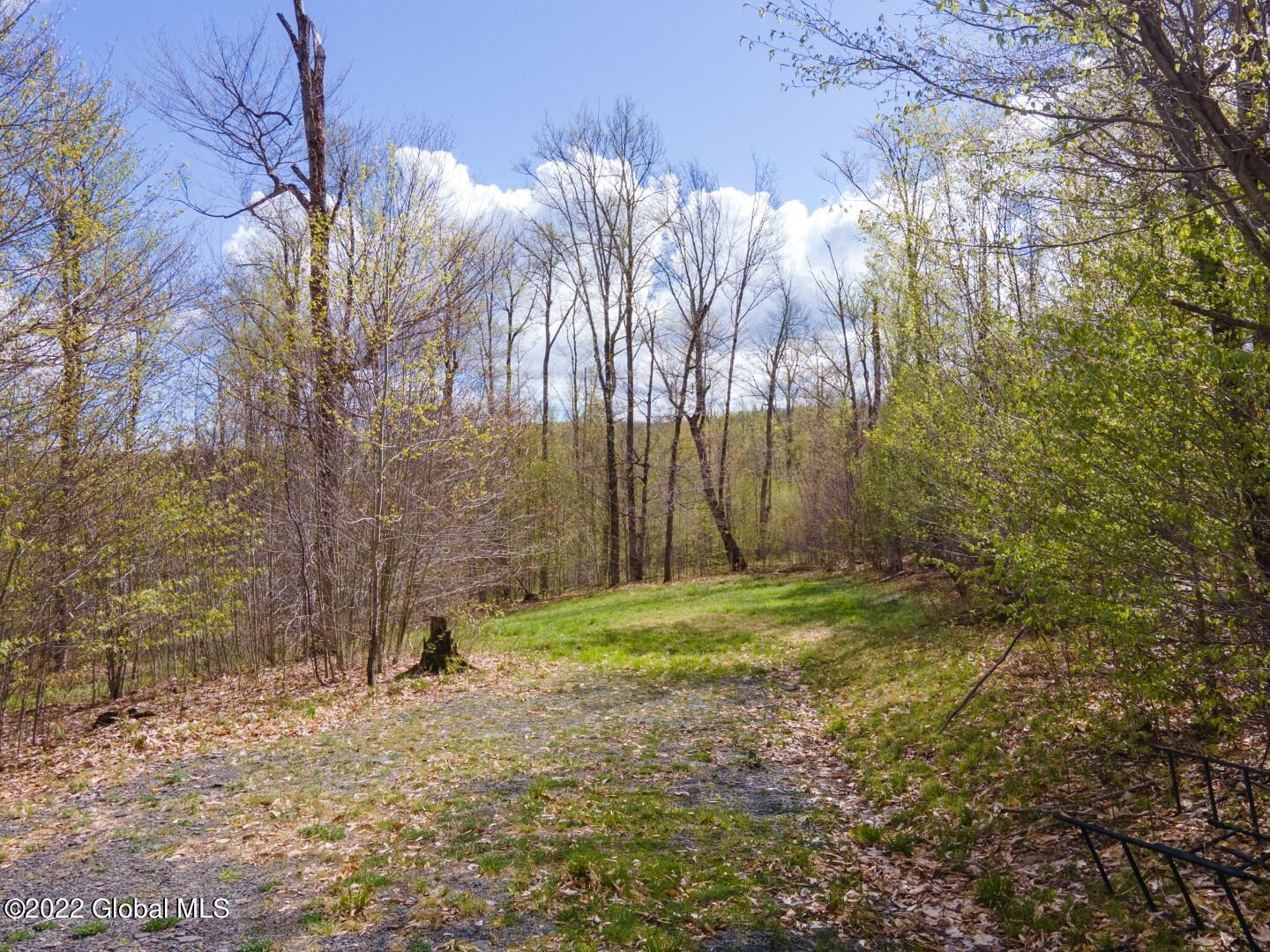 164 Baldwin Road West Summit, NY 12093 - Photo 8 of 11 164BaldwinRd-4