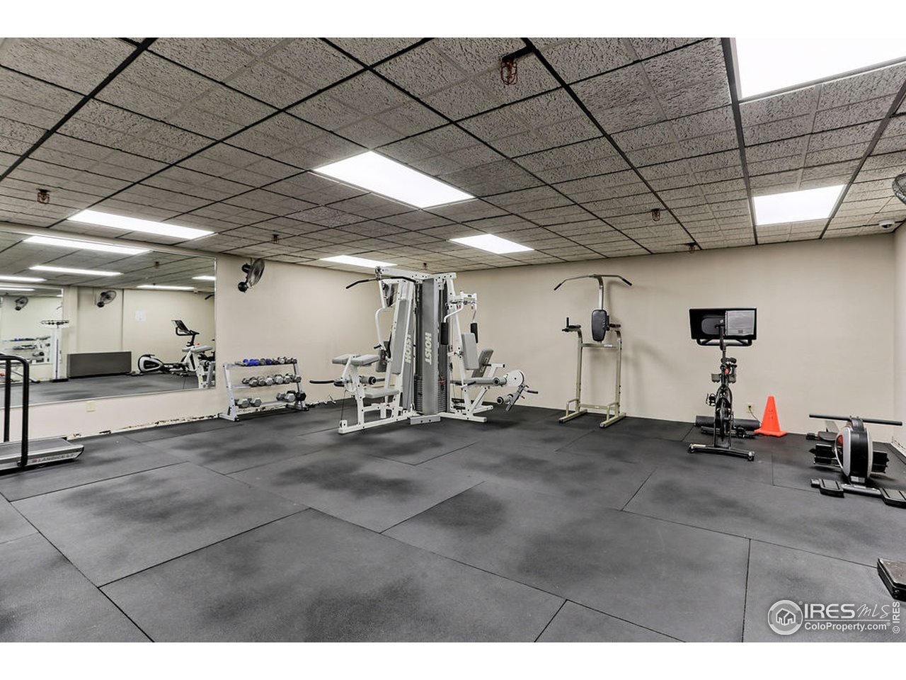 415 South Howes Street, Unit 209 Fort Collins, CO 80521 - Photo 31 of 37 condo gym