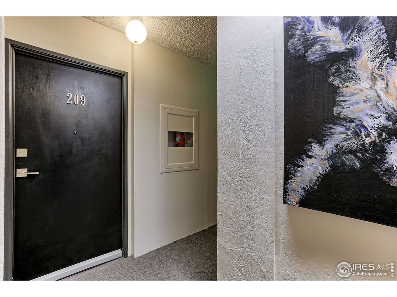 Door 209