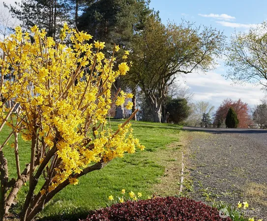 $699,000 | 3115 Brisbane Street, Walla Walla, WA 99362