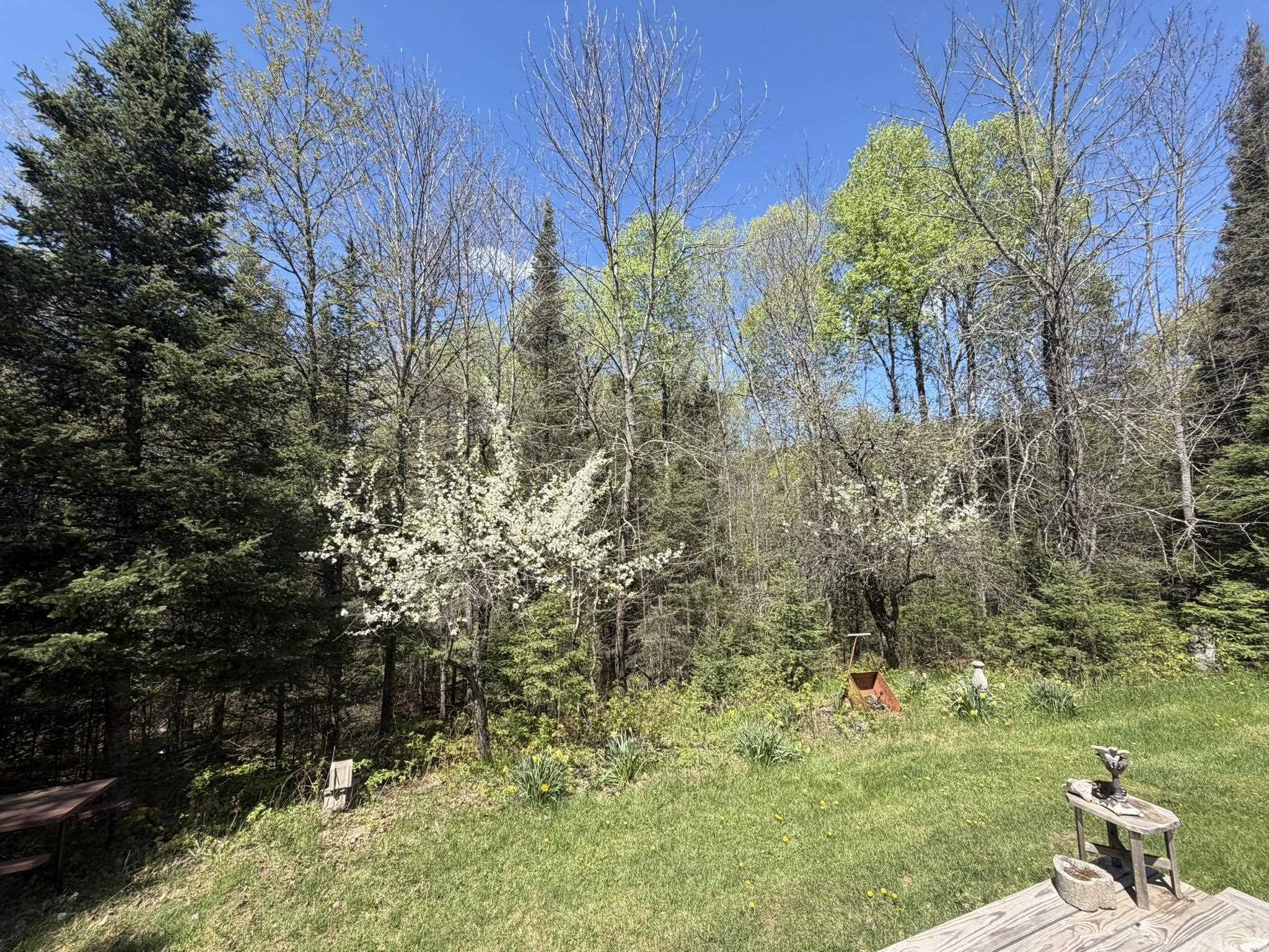 15569 Stevens Lake Road Long Lake, WI 54542 - Photo 21 of 24