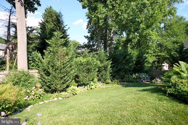 5103 Sangamore Road Bethesda, MD 20816 - Photo 24 of 25 Yard