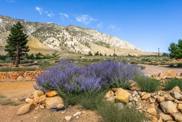 a view of an outdoor space and yard