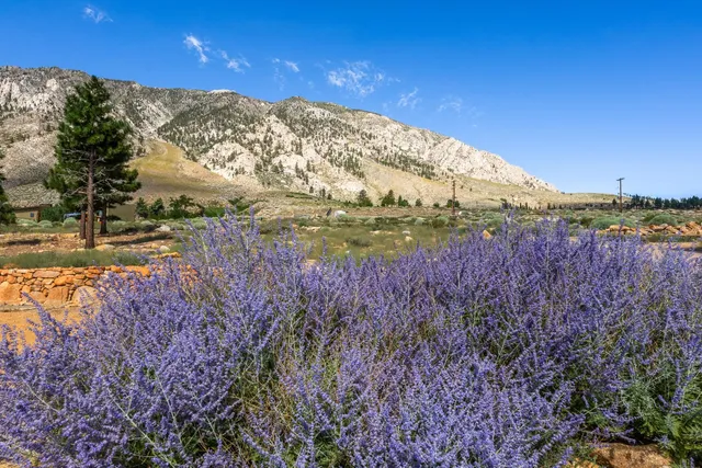 a view of an outdoor space and mountain view