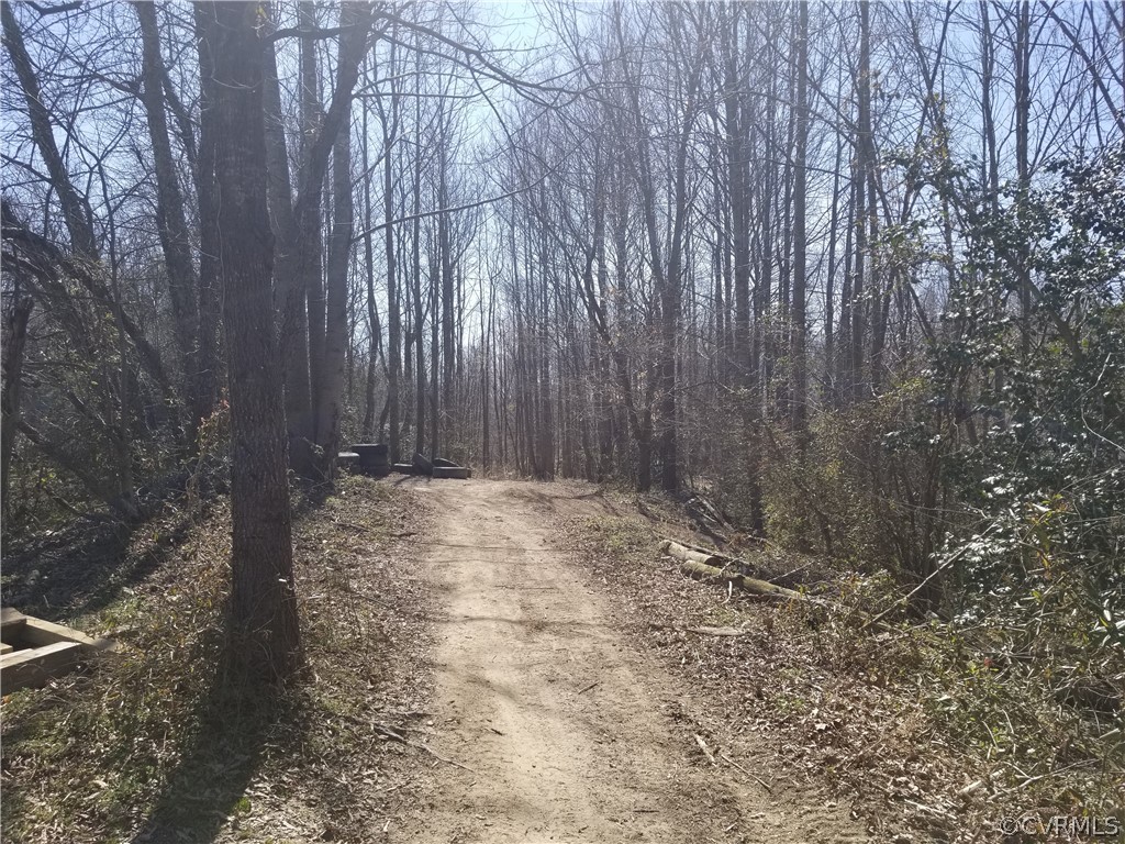 384 Landing Road Manquin, VA 23106 - Photo 31 of 47 Lots of trails to explore!