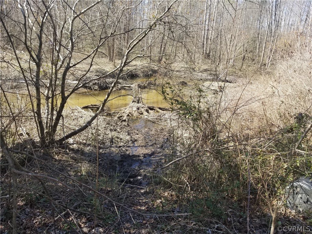 384 Landing Road Manquin, VA 23106 - Photo 34 of 47 running creek on the back, so much fun to play her