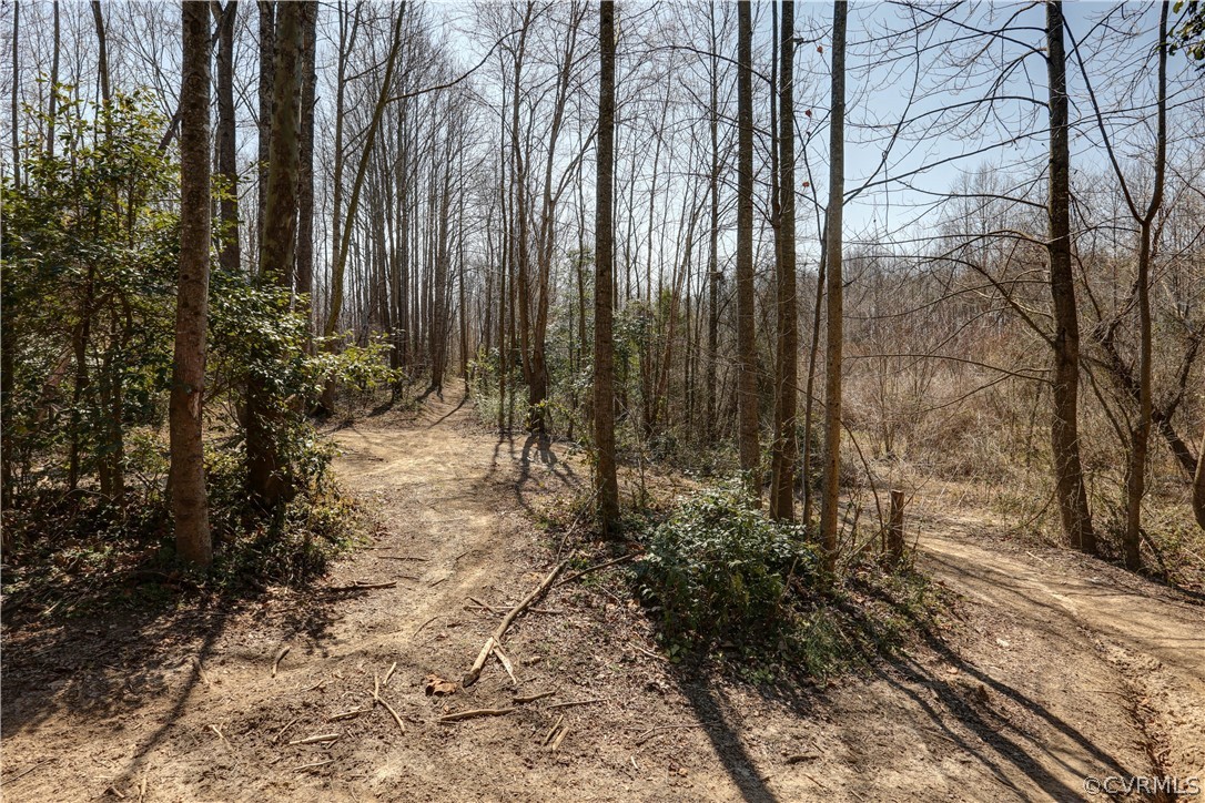 384 Landing Road Manquin, VA 23106 - Photo 8 of 47 So Much Fun to be had here!!! Trails all through t