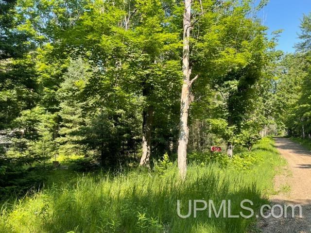 6304 Duck Lake Road Florence, WI 54121 - Photo 5 of 12