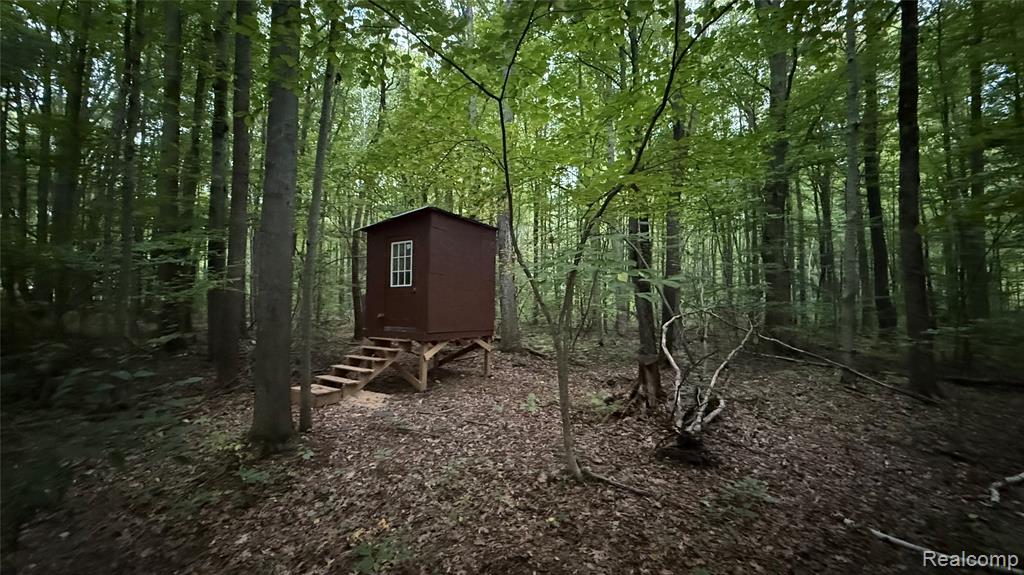 4528 North River Road North Street, MI 48049 - Photo 10 of 12