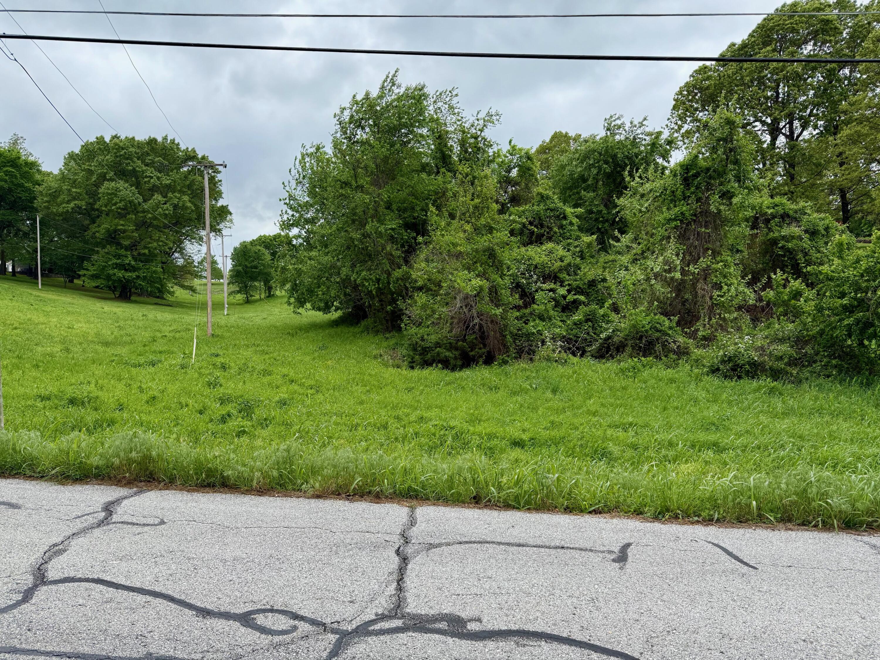 Xxx Peterson Road Neosho, MO 64850 - Photo 3 of 4 vacant land