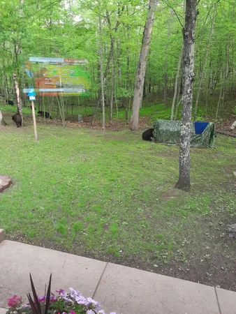 $189,500 | 28671 Chalet Road, Danbury, WI 54830