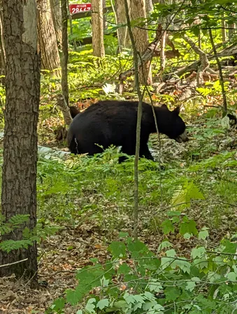 $189,500 | 28671 Chalet Road, Danbury, WI 54830