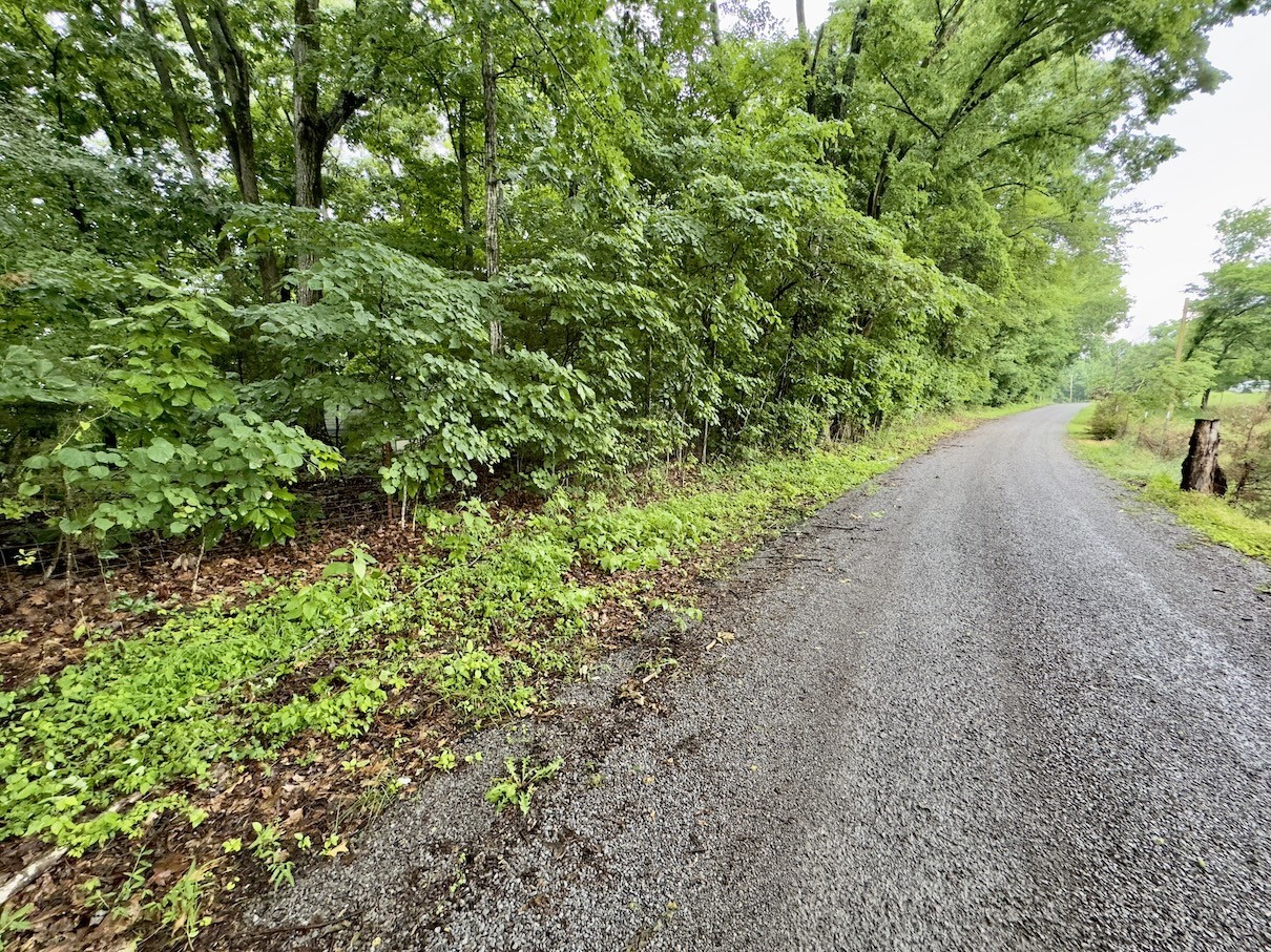 2 Conley Road Woodbury, TN 37190 - Photo 11 of 15 Gallery Image 11