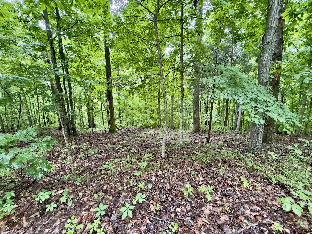 2 Conley Road Woodbury, TN 37190 - Photo 3 of 15 Gallery Image 3