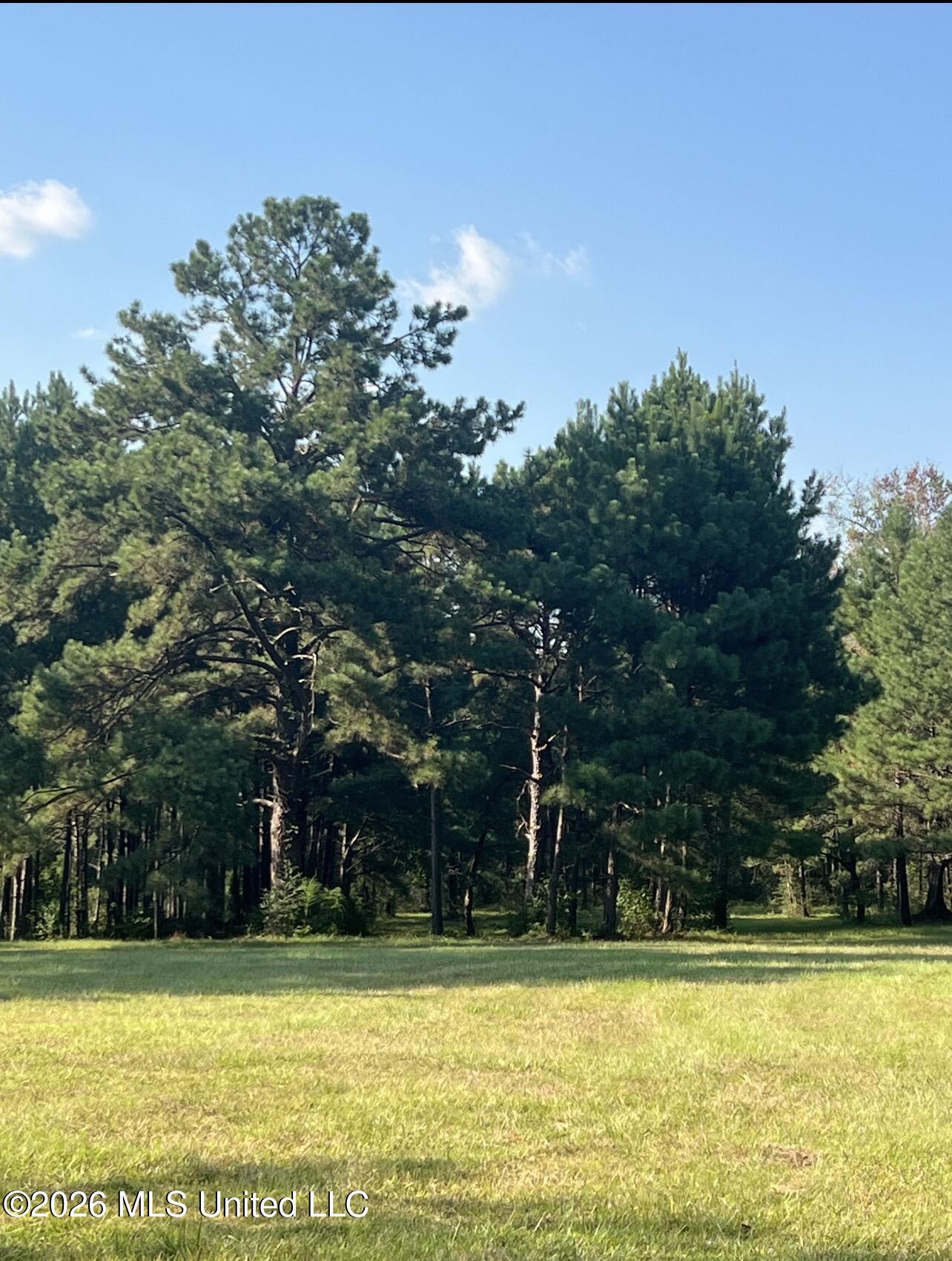 15528 Broadus Road Saucier, MS 39574 - Photo 7 of 15 IMG_9086