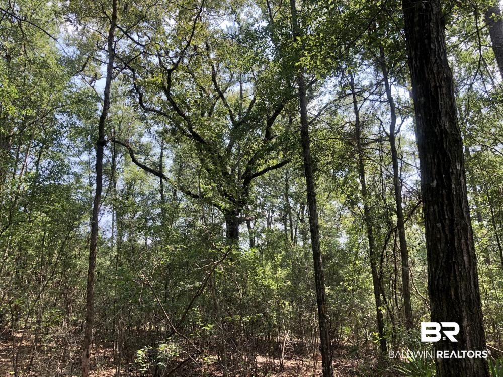18560 Mason Street Citronelle, AL 36522 - Photo 29 of 45