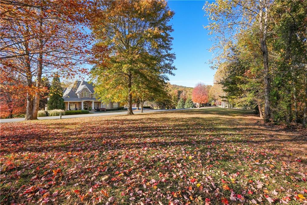 0 Rome Beauty Lane Clarkesville, GA 30523 - Photo 6 of 7 Gallery Image 6