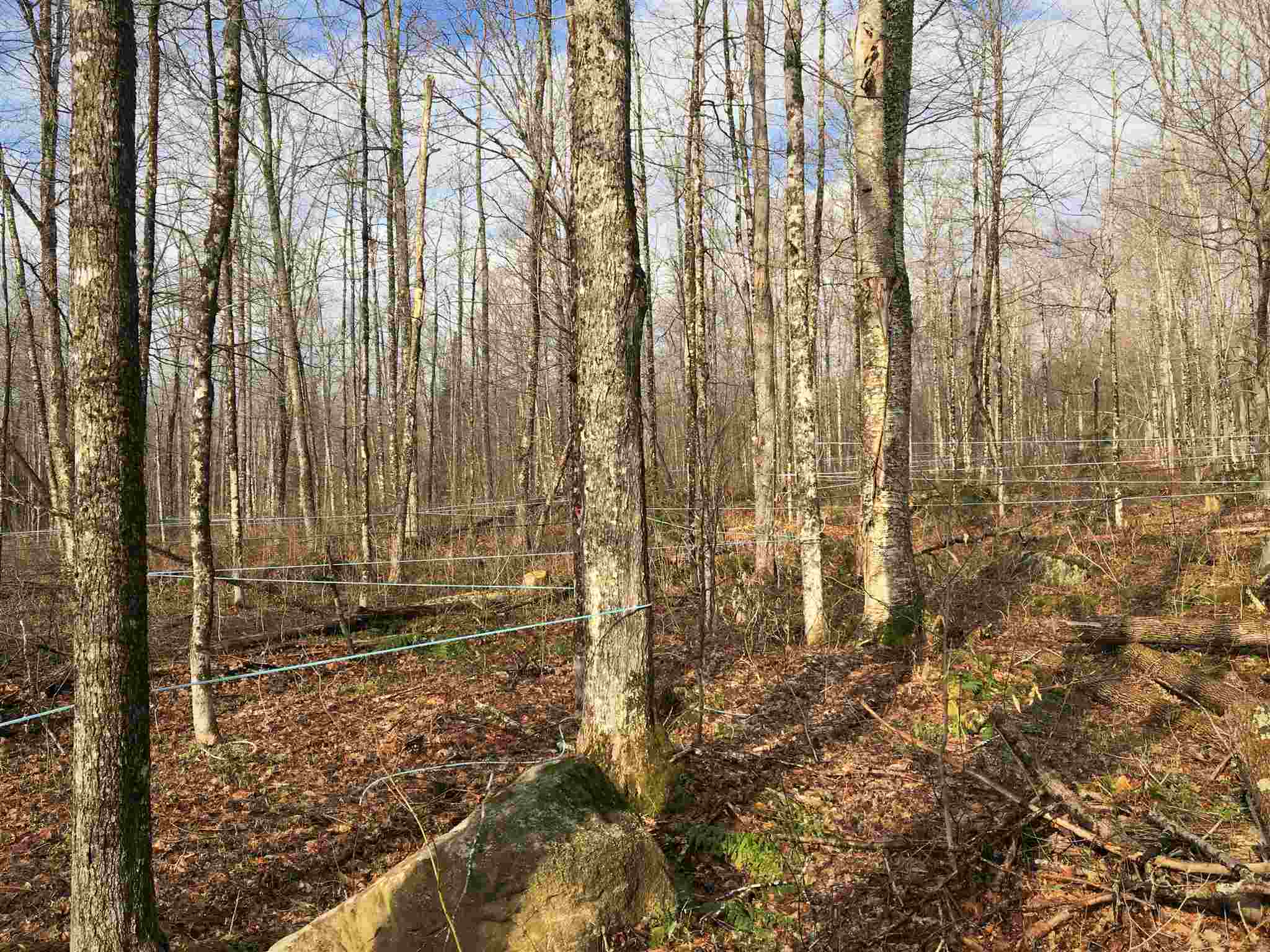 0 Swenson Quarry Road Cabot, VT 05647 - Photo 2 of 14 Gallery Image 2