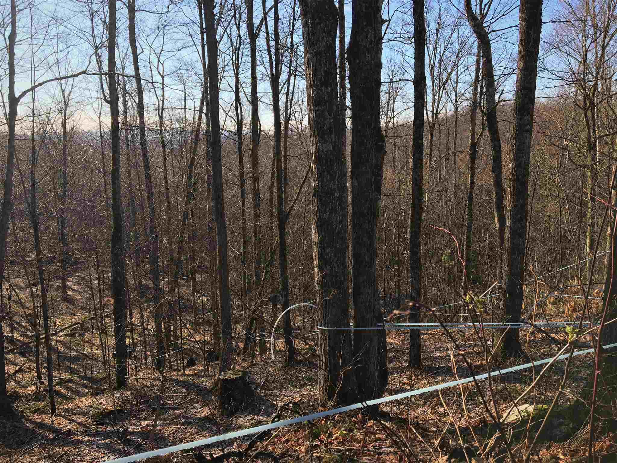 0 Swenson Quarry Road Cabot, VT 05647 - Photo 13 of 14 Gallery Image 13
