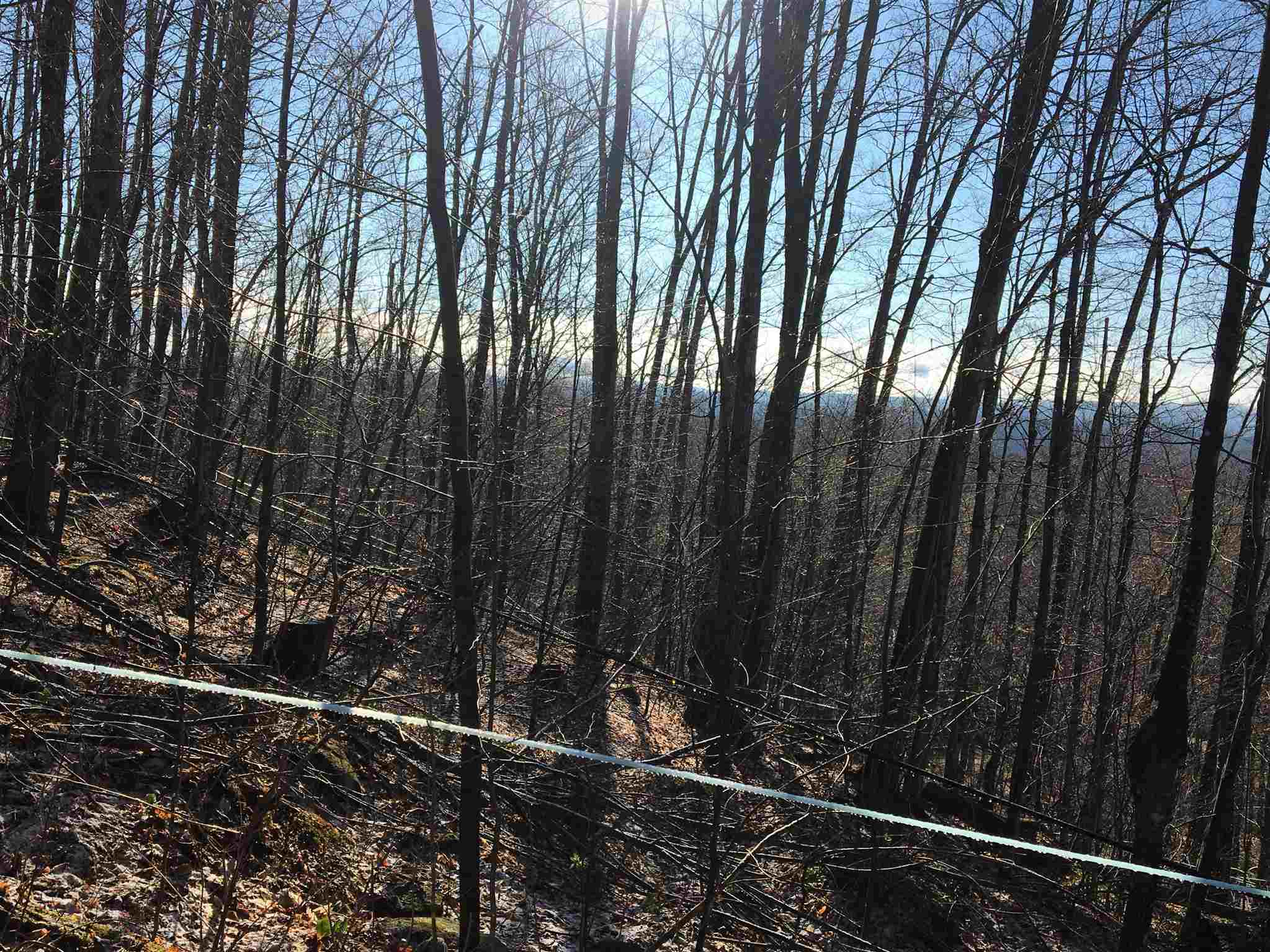 0 Swenson Quarry Road Cabot, VT 05647 - Photo 14 of 14 Gallery Image 14