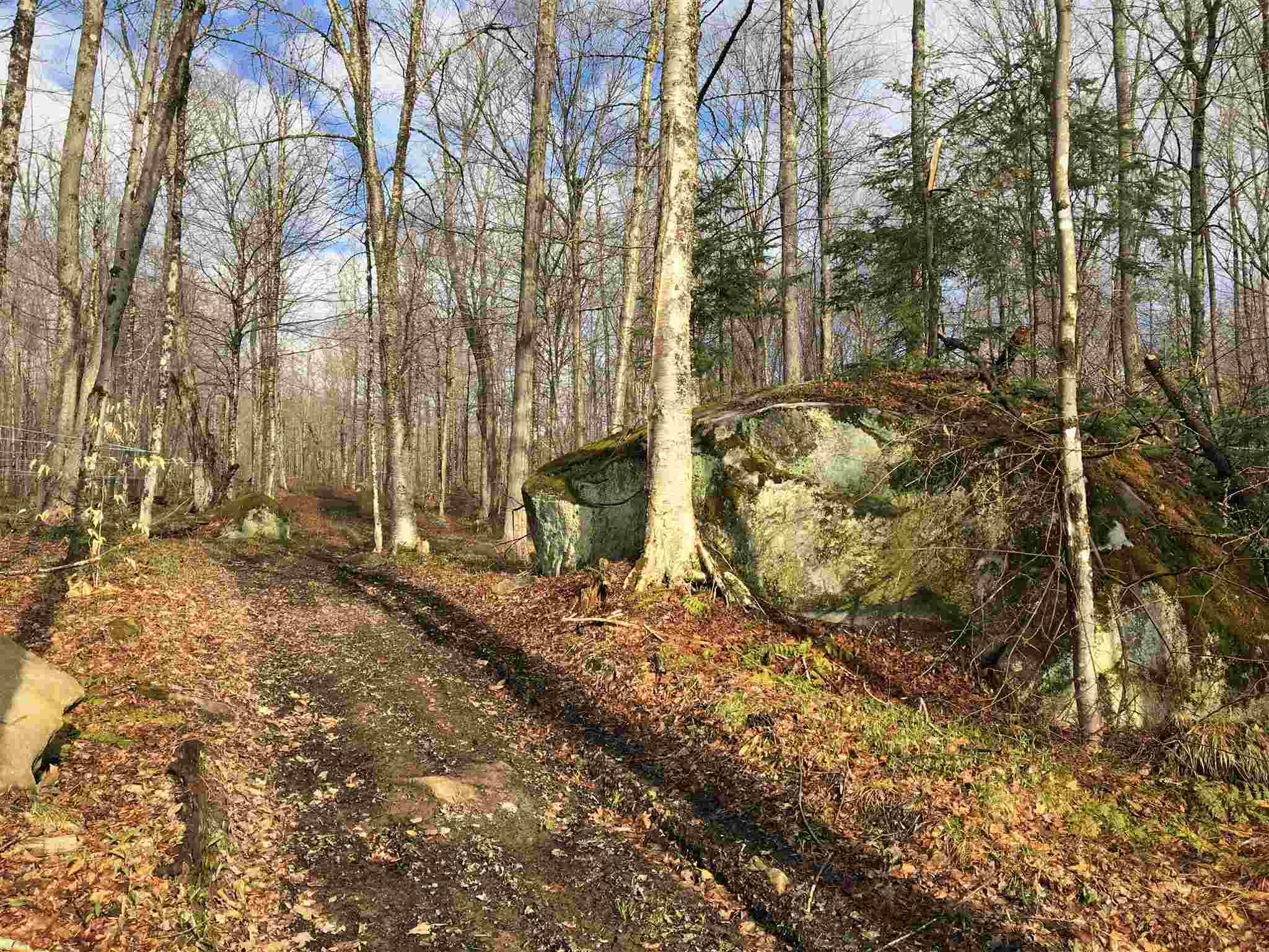0 Swenson Quarry Road Cabot, VT 05647 - Photo 8 of 14 Gallery Image 8