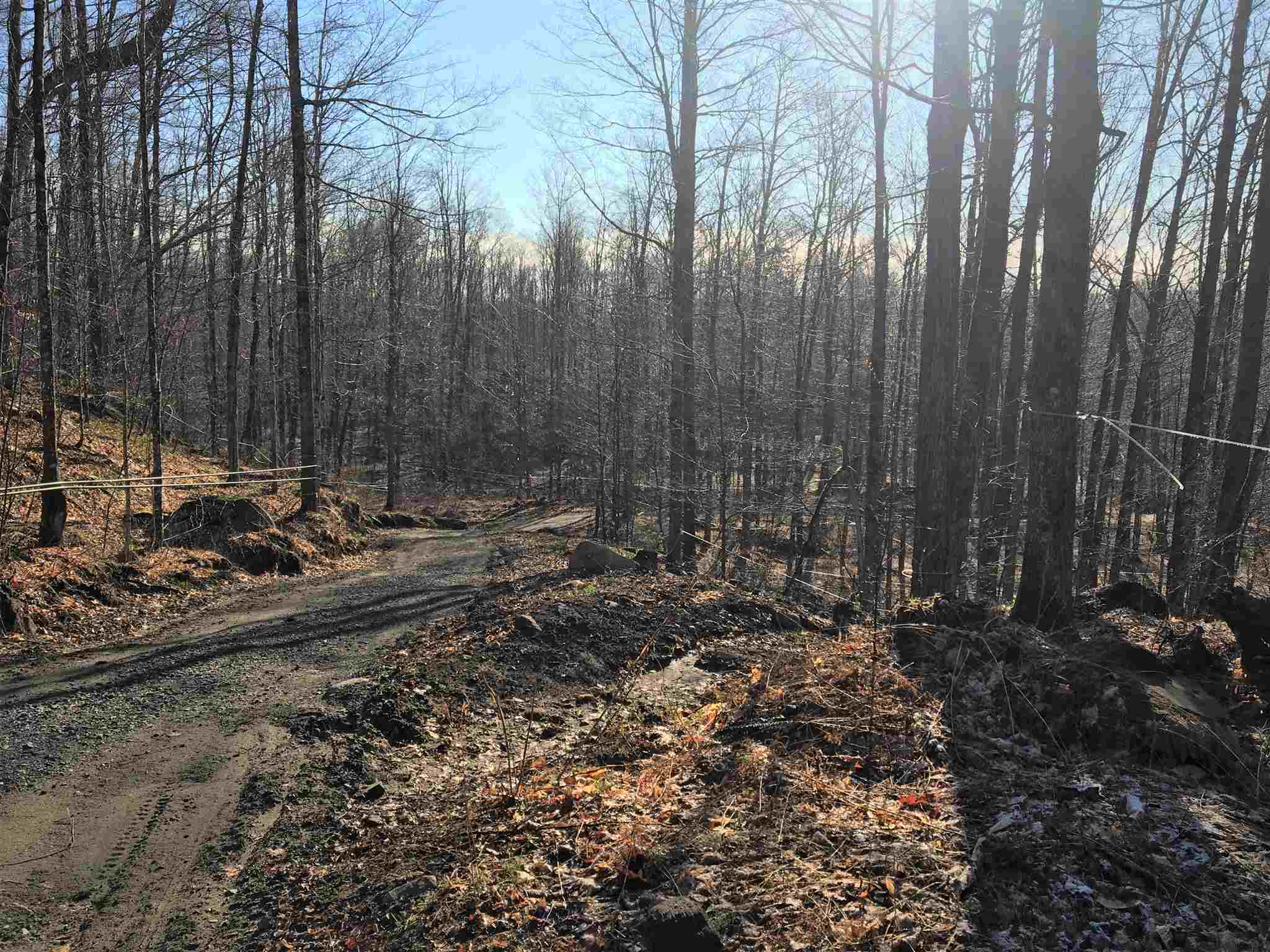 0 Swenson Quarry Road Cabot, VT 05647 - Photo 10 of 14 Gallery Image 10