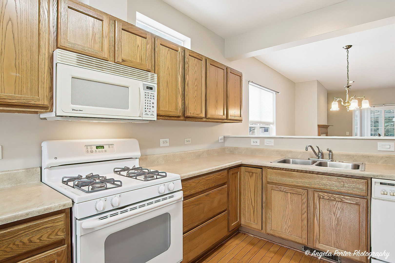 54 Rocking Horse Lane Grayslake, IL 60030 - Photo 13 of 31