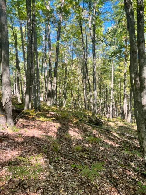 3675 Nasser (120 Acres) Road Fairview, MI 48621 - Photo 65 of 76 Gallery Image 65